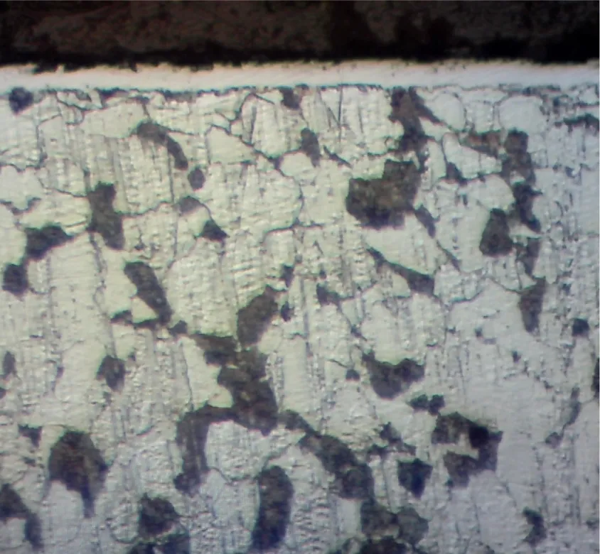 Ion Nitriding metallography 5